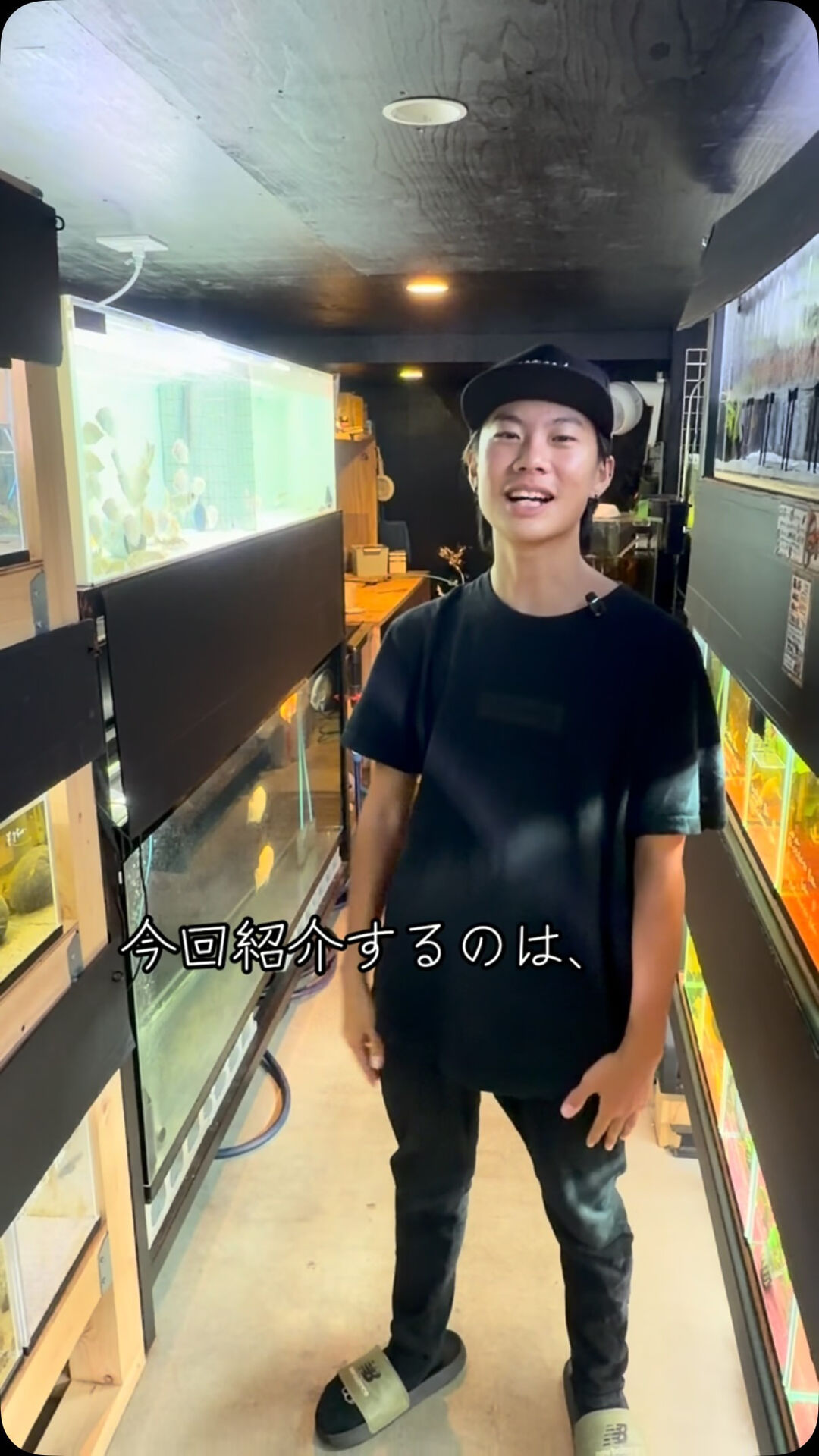 blog