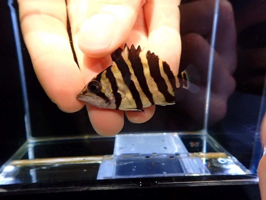 初心者の方をサポートする幅広い知識