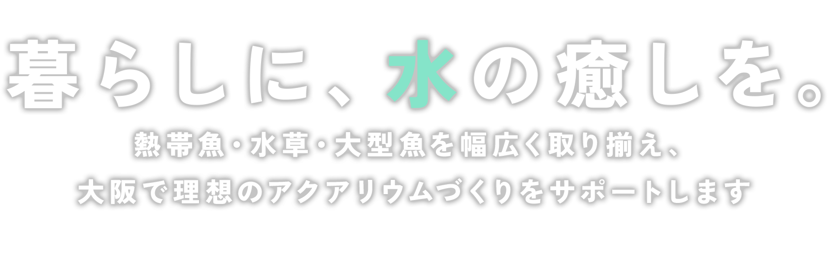 暮らしに、水の癒しを。